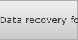 Data recovery for Largo data